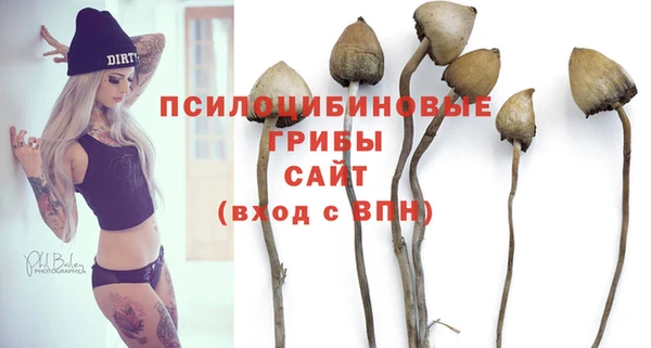 не бодяженный Аркадак