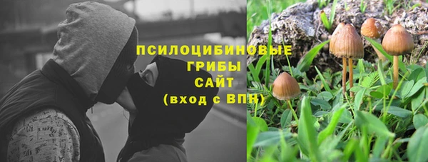 не бодяженный Аркадак