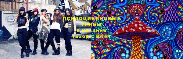 не бодяженный Аркадак