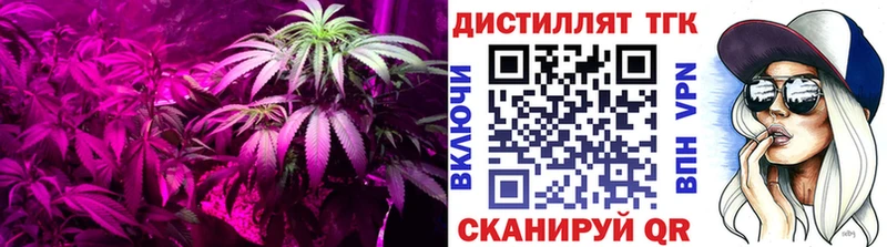это телеграм  Зеленодольск  ТГК жижа 