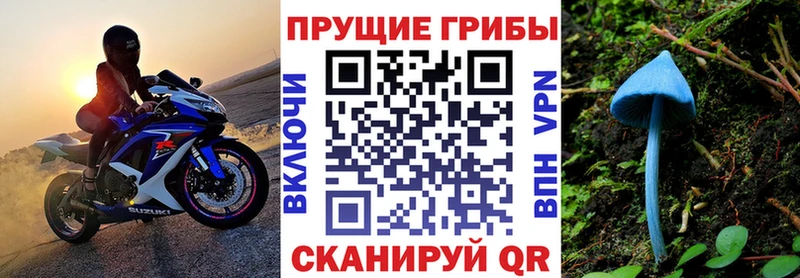 МЕГА ссылка  Зеленодольск  Псилоцибиновые грибы мицелий 